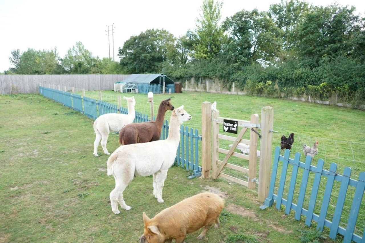 Alpaca Lodge Sittingbourne Exterior photo